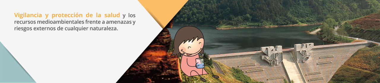 Salud ambiental